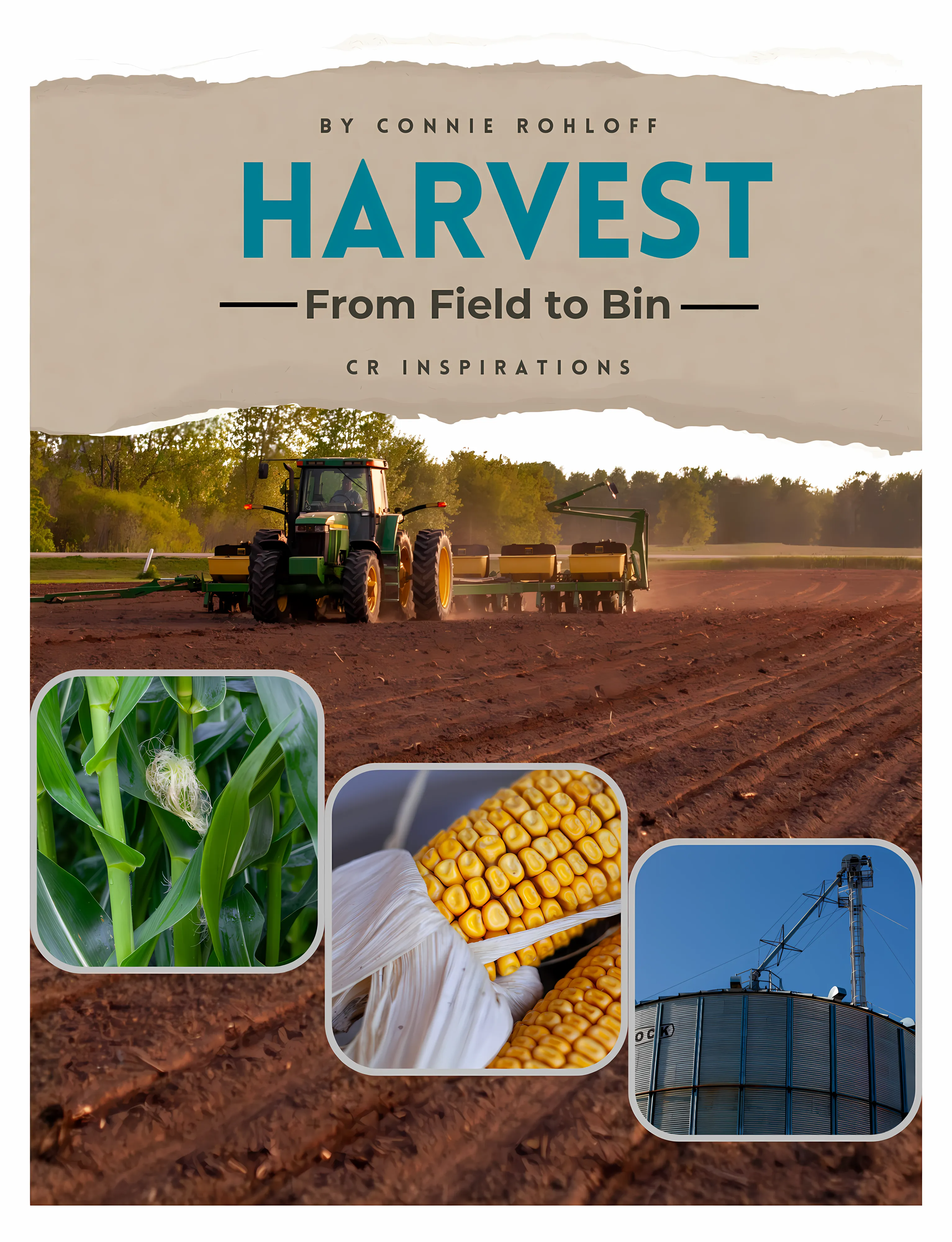 Harvest: From Field to Bin - Coloring Book