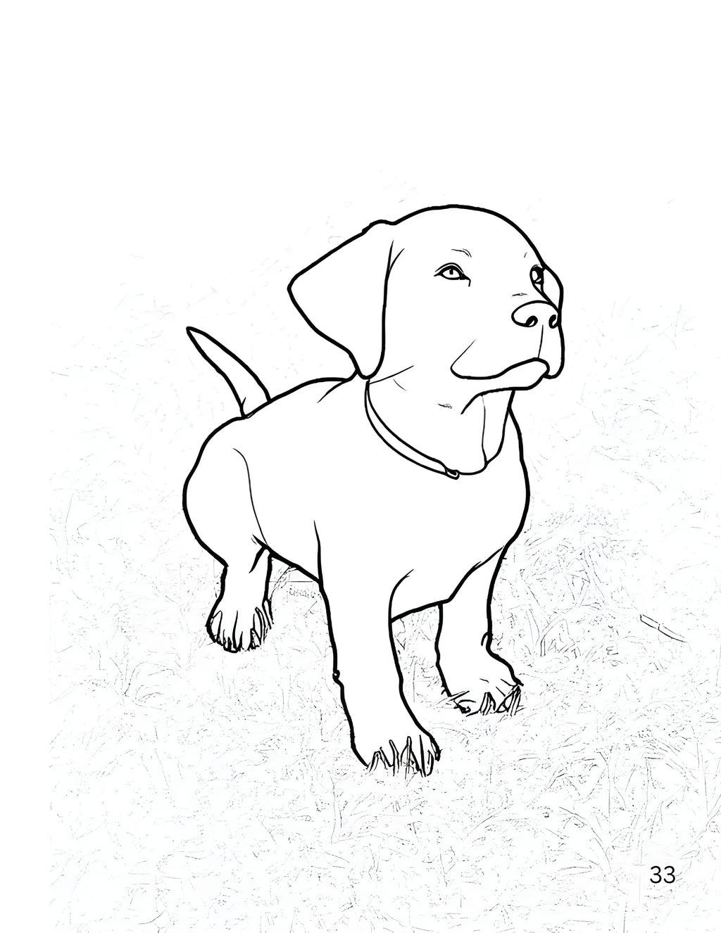 Animals of the Farmyard, Gentle Days - Coloring Book