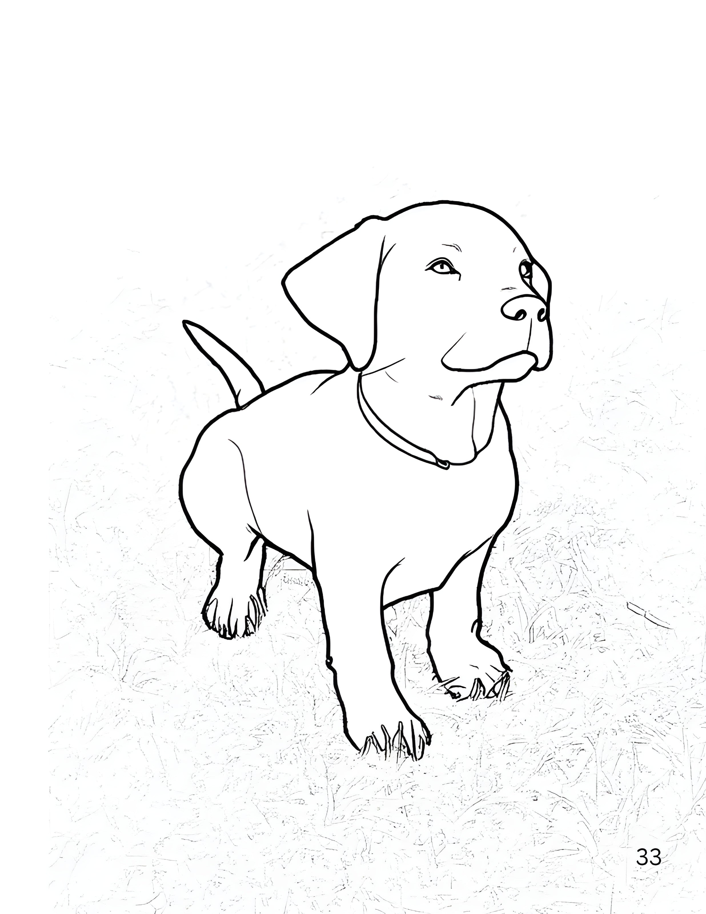 Animals of the Farmyard, Gentle Days - Coloring Book