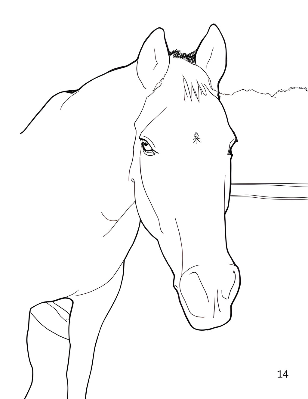 Animals of the Farmyard, Gentle Days - Coloring Book