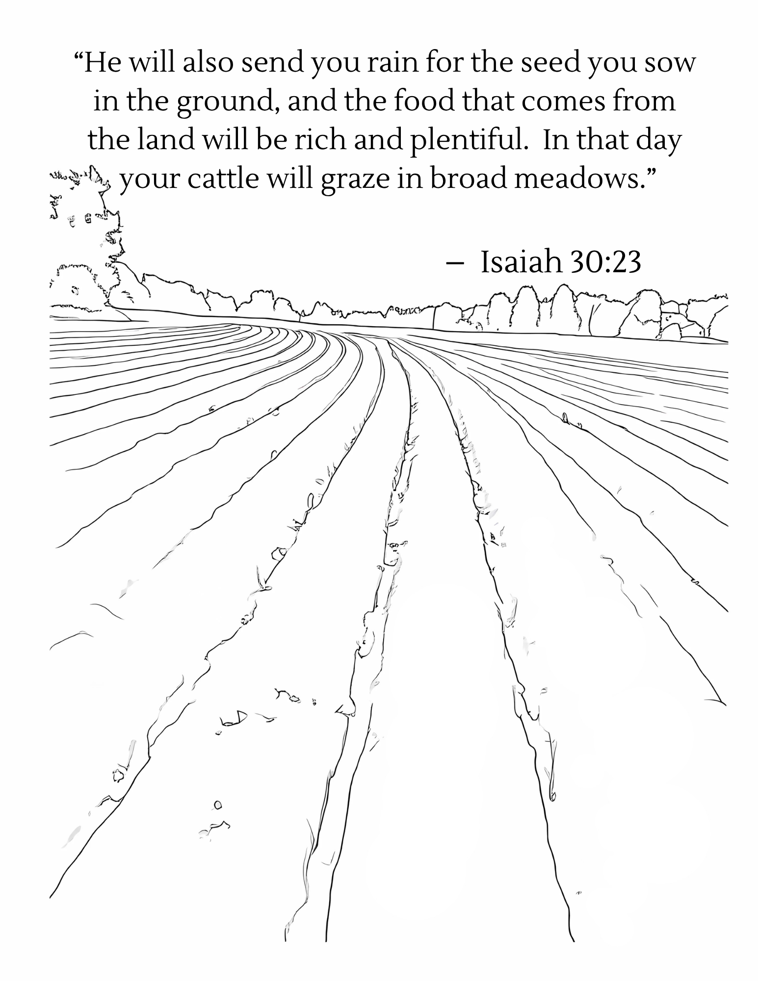Harvest: From Field to Bin with Spiritual Verses Inside - Coloring Book