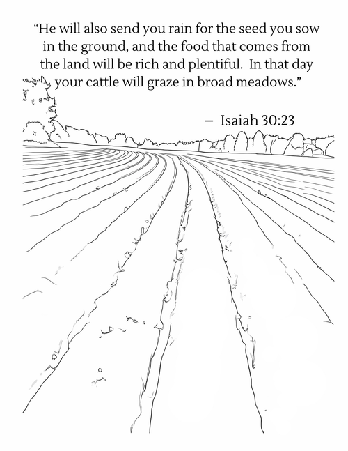 Harvest: From Field to Bin with Spiritual Verses Inside - Coloring Book