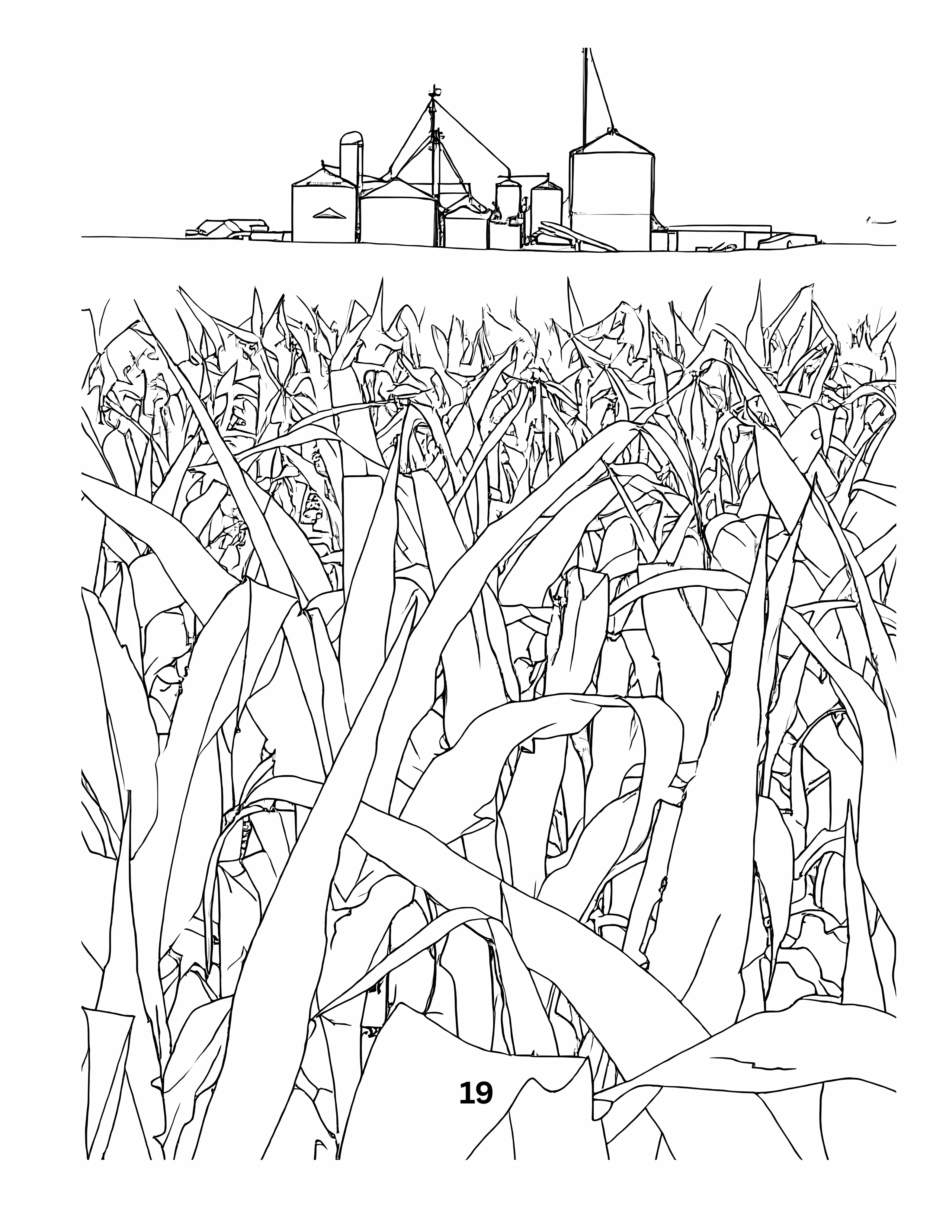 Harvest: From Field to Bin - Coloring Book