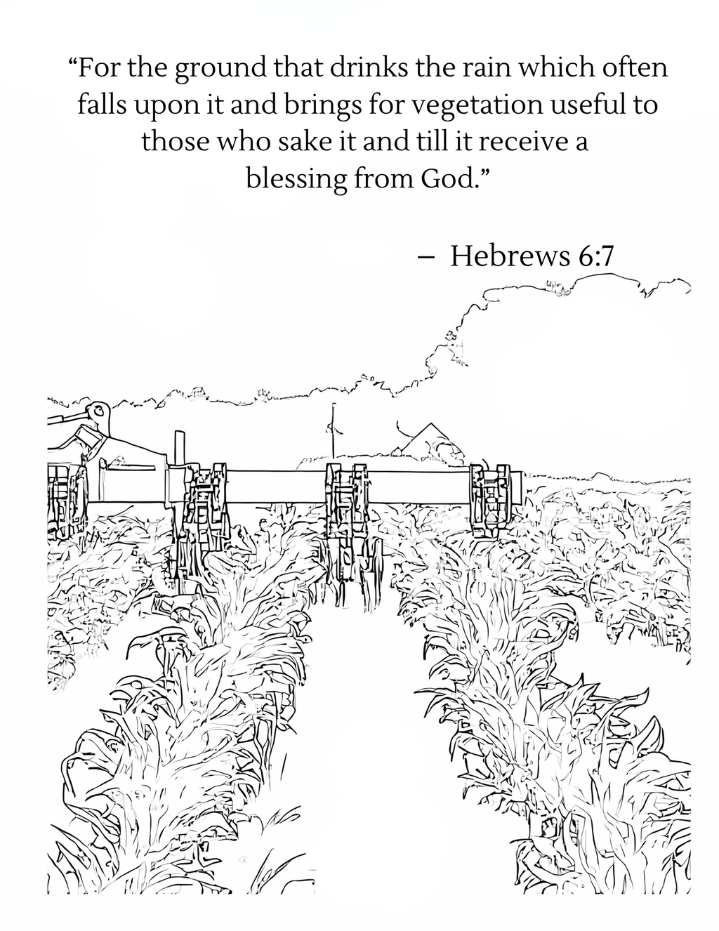 Harvest: From Field to Bin with Spiritual Verses Inside - Coloring Book