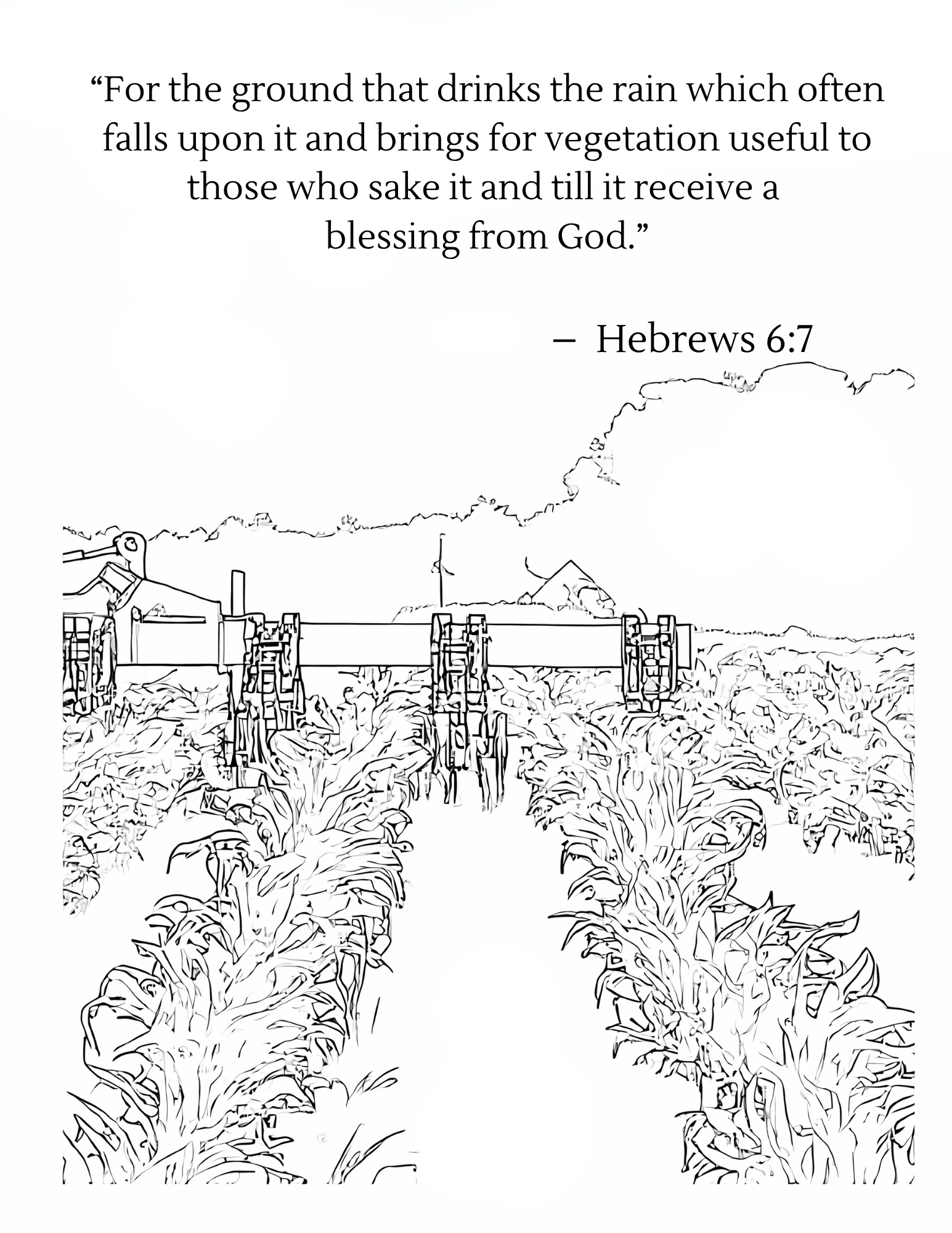 Harvest: From Field to Bin with Spiritual Verses Inside - Coloring Book