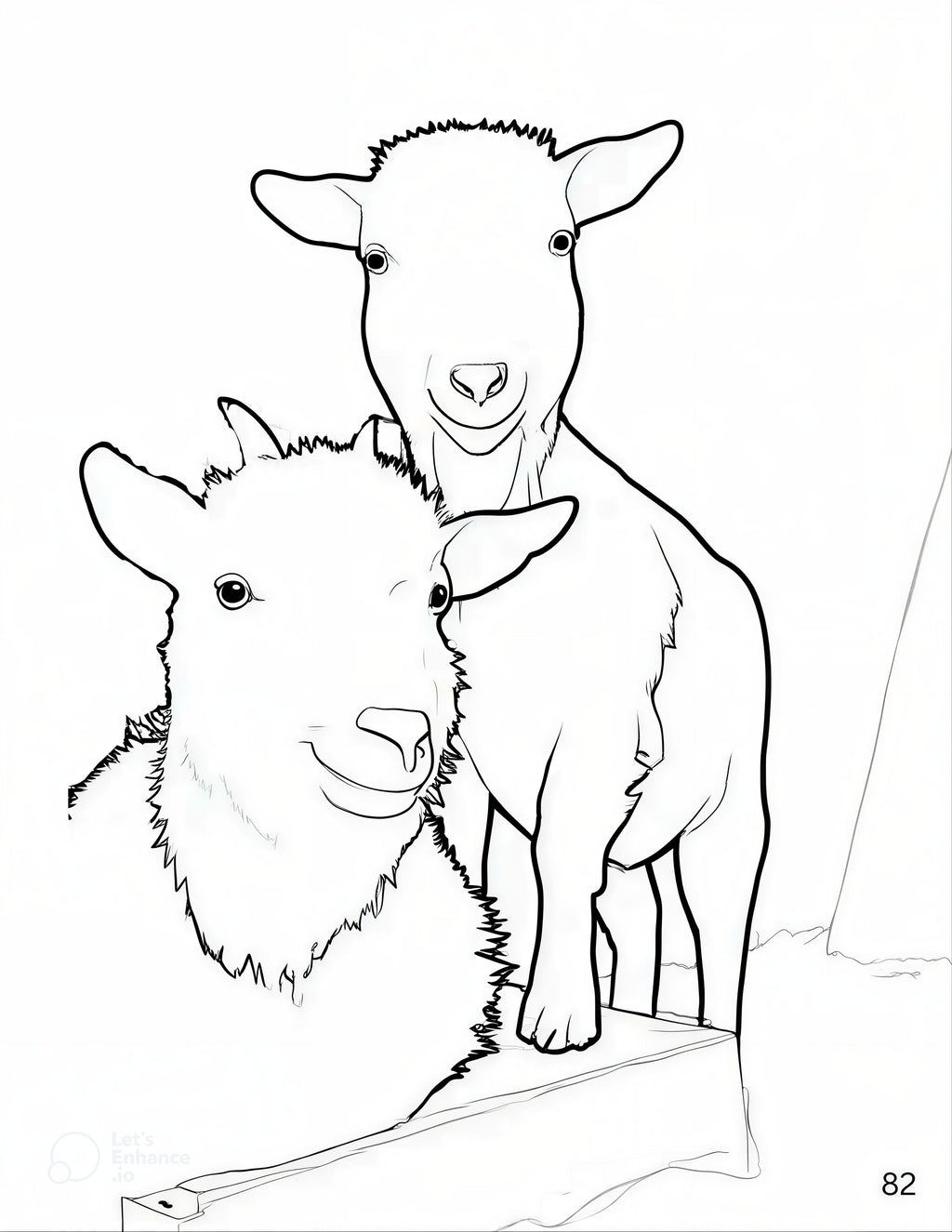 Animals of the Farmyard, Gentle Days - Coloring Book