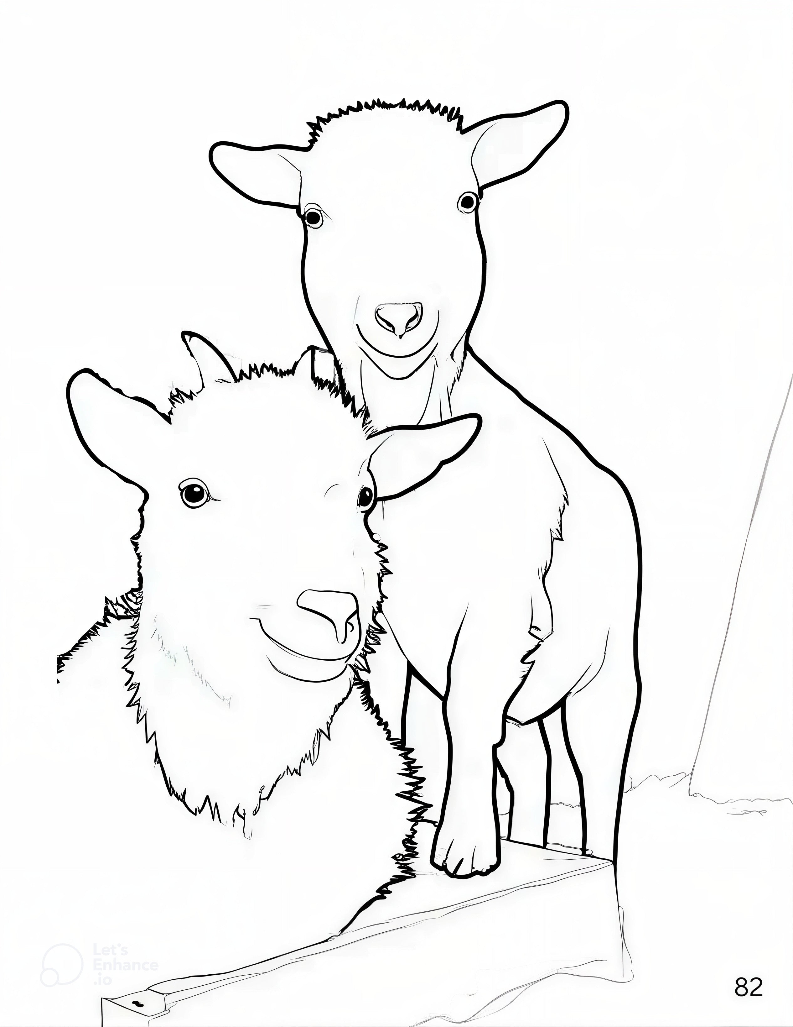 Animals of the Farmyard, Gentle Days - Coloring Book