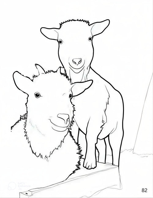 Animals of the Farmyard, Gentle Days - Coloring Book