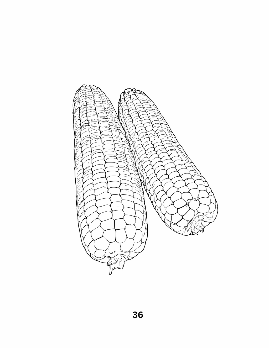 Harvest: From Field to Bin - Coloring Book