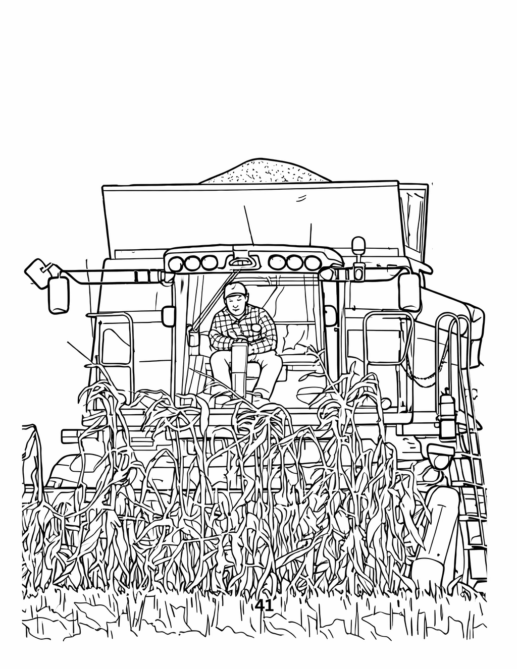 Harvest: From Field to Bin - Coloring Book